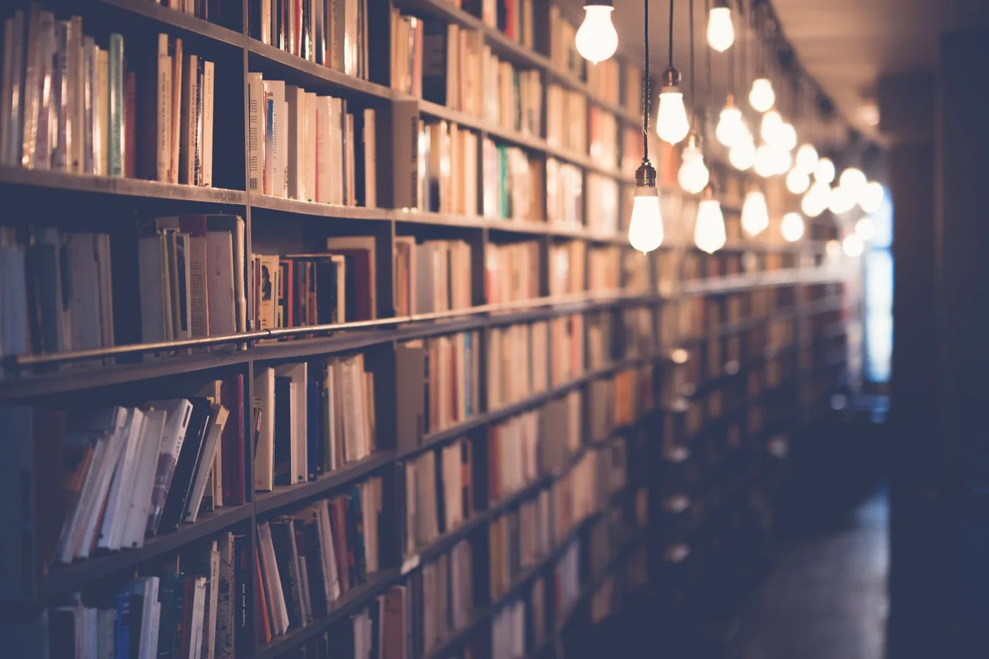 Warmly lit shelves filled with books.