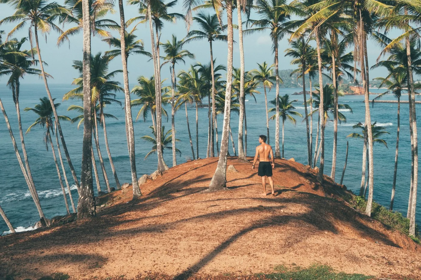 A person on a coastal path framed by palm trees and blue water.